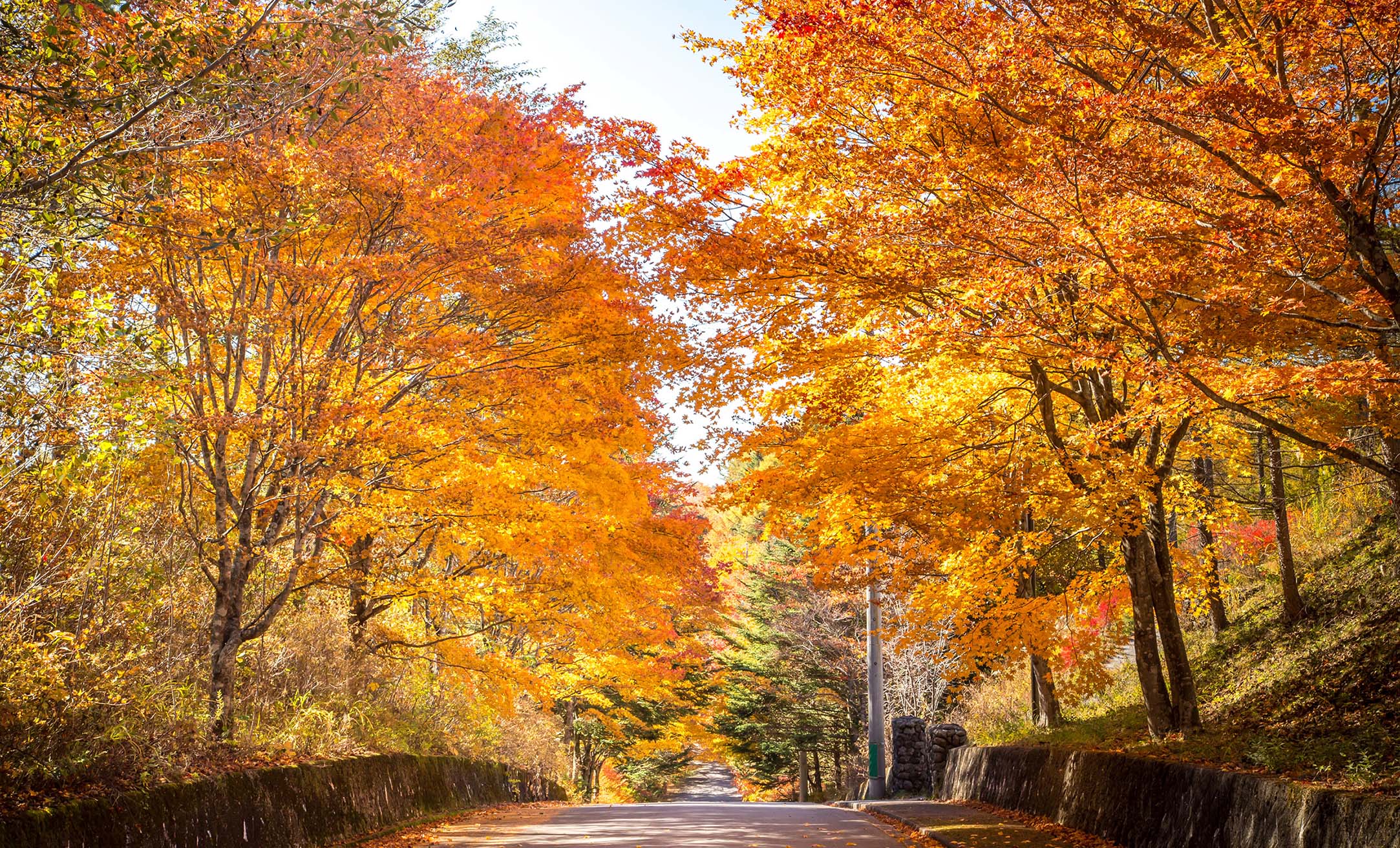 Karuizawa ~Japanese Resort~