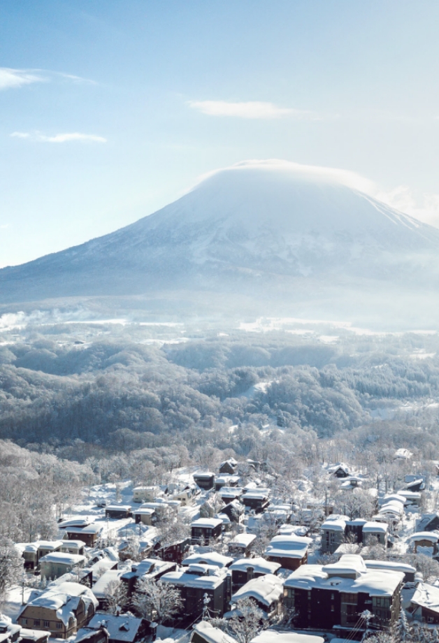 La Plumeをおすすめする8つの理由