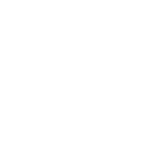 スペシャルサポートサービス