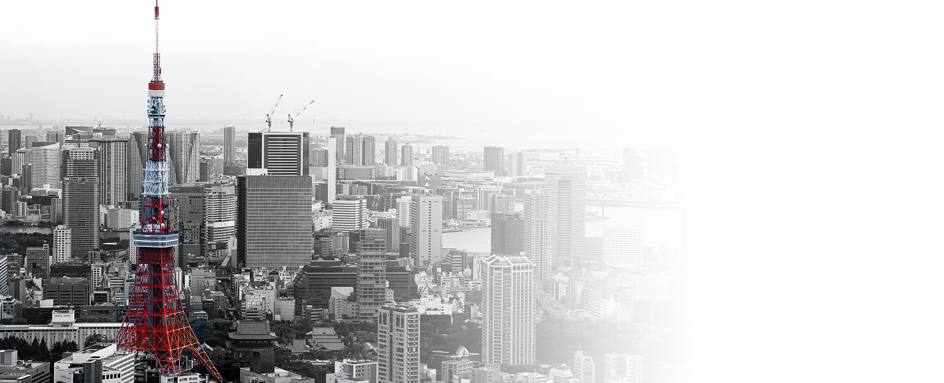 都心の賃貸管理ならお任せください。